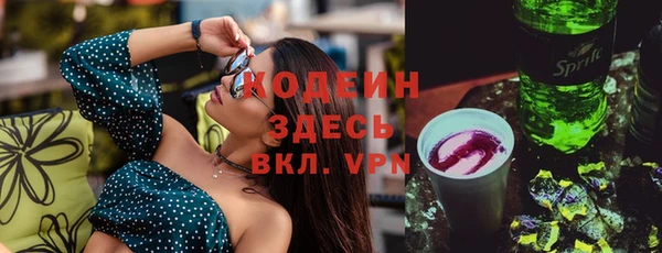 гашик Няндома