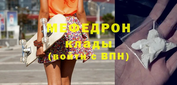 гашик Няндома
